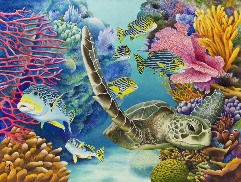 Exploring the Coral 300 Piece Jigsaw Puzzle