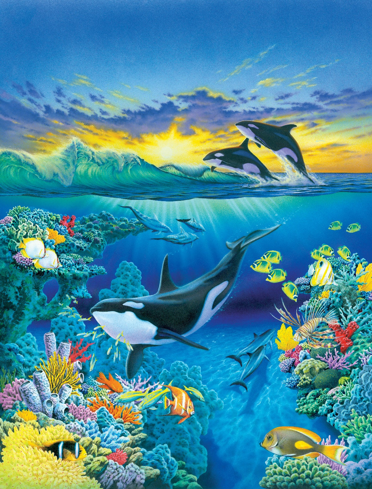 Living Ocean Orca 100 Piece Jigsaw Puzzle