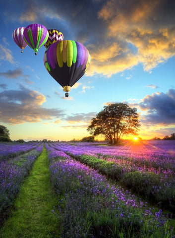 Hot Air Balloons at the Sunset 500 Piece Jigsaw Puzzle