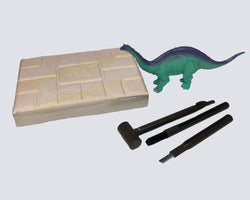 Brachiosaurus Dinosaur - Wooden Excavation Tools
